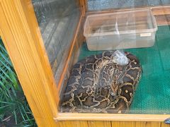 -上海大自然野生昆虫馆