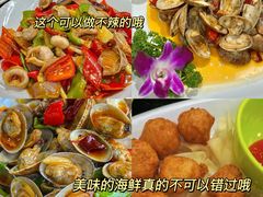 -亚龙湾热带天堂森林公园
