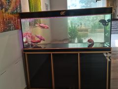 -青石桥花鸟鱼虫市场(叠翠城店)