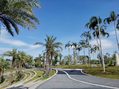 -宝安西湾红树林湿地公园