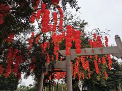 -人民公园(罗湖区)