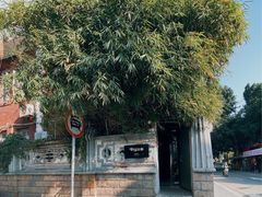 -溪岸路花鸟市场