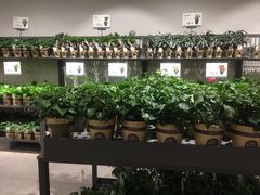 -鹿岛会员店 (龙湖三千集天街店)