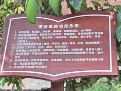 -西双版纳傣族园