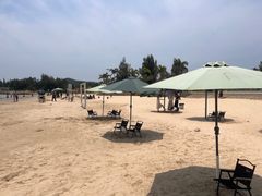 -汕尾风车岛