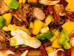 -巴依老爷新疆美食(望京小街店)