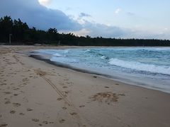 -后海村