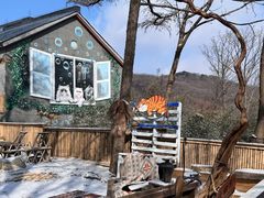 -沂蒙山旅游区云蒙景区(蒙山国家森林公园)