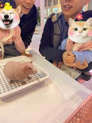-Moni星球萌宠·小马宝莉·灵蛇·高端高阶全萌宠互动体验俱乐部(红豆国际广场店)