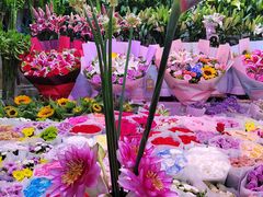 -朝来春花卉市场