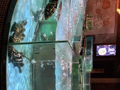 -观澜湖酒店·邀月庭中餐厅
