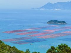 -花竹村
