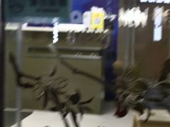-立德动物医院·异宠·CT·鹦鹉(天河店)