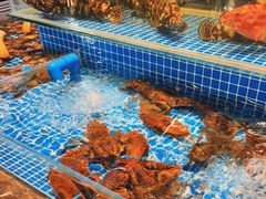 水产区-锦色·烧鹅·海鲜(臻享店)