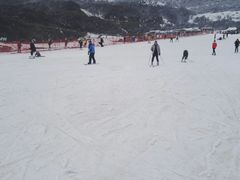 -太子岭滑雪场