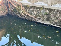 -墨池公园