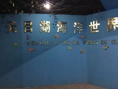 -天目湖山水园
