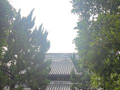 -秋霞圃