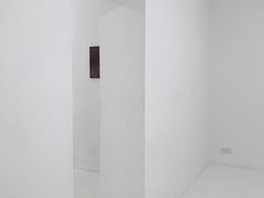 -胶囊画廊