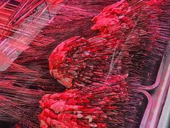 -老白家怡贵园烤肉