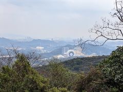 -黄埔油麻山森林公园
