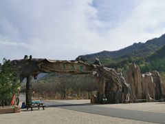 -龙道沟景区