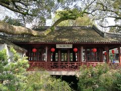 -上海醉白池公园