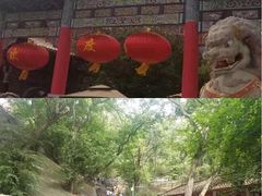 -皇藏峪国家森林公园