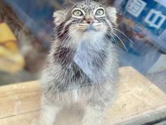 -青藏高原野生动物园