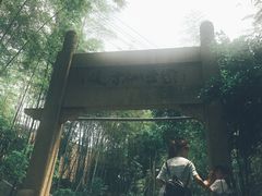 -紫金山天文台