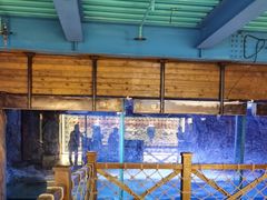 -海合安青岛极地海洋公园