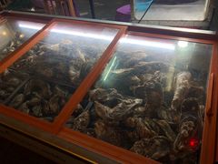 -土蚝·高压锅生蚝(百姓美食街店)
