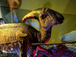 -恐龙探索乐园(磁器口店)