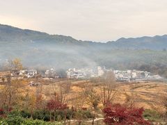 -塔川景区