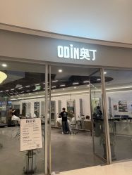 -ODIN 奥丁形象设计 