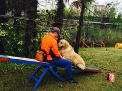 -上海崇明金茂凯悦酒店