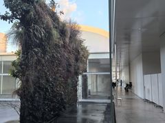 -金泽21世纪美术馆