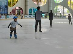 -世界之窗阿尔卑斯冰雪世界