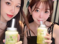-野萃山·潮汕厚果汁(十亩地店)