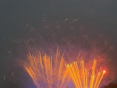 -大塘金香草谷