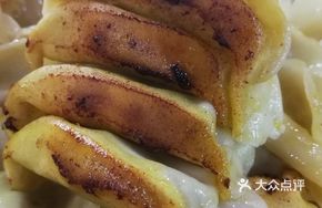 Cabbage Oil Pan-Fried Dumplings