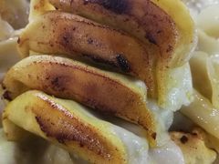 菜油煎锅贴-回回锅贴(小河沿店)