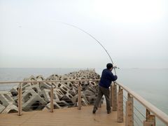 -东疆建设开发纪念公园