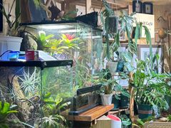 -Rabbit Cafe私房西餐甜点咖啡(栖霞路店)