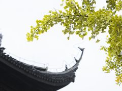 -红梅公园
