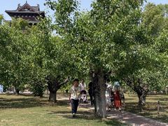 -祥源·阜阳生态乐园