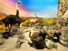 -国家自然博物馆