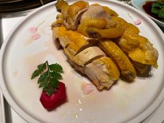 -领鲜天下·焗海鲜·花胶鸡(天目里店)