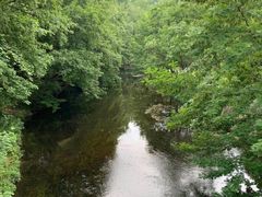 -阿哈湖国家湿地公园