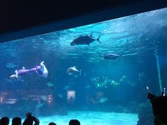 -常州海昌海洋探索馆